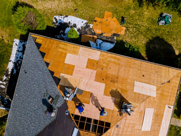 Best Commercial Roofing Services  in Jena, LA