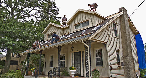 Best Metal Roofing Contractor  in Jena, LA